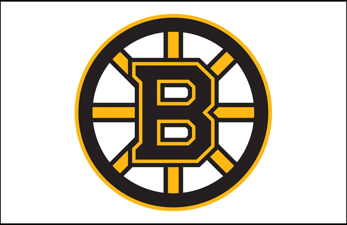 bruins — US news