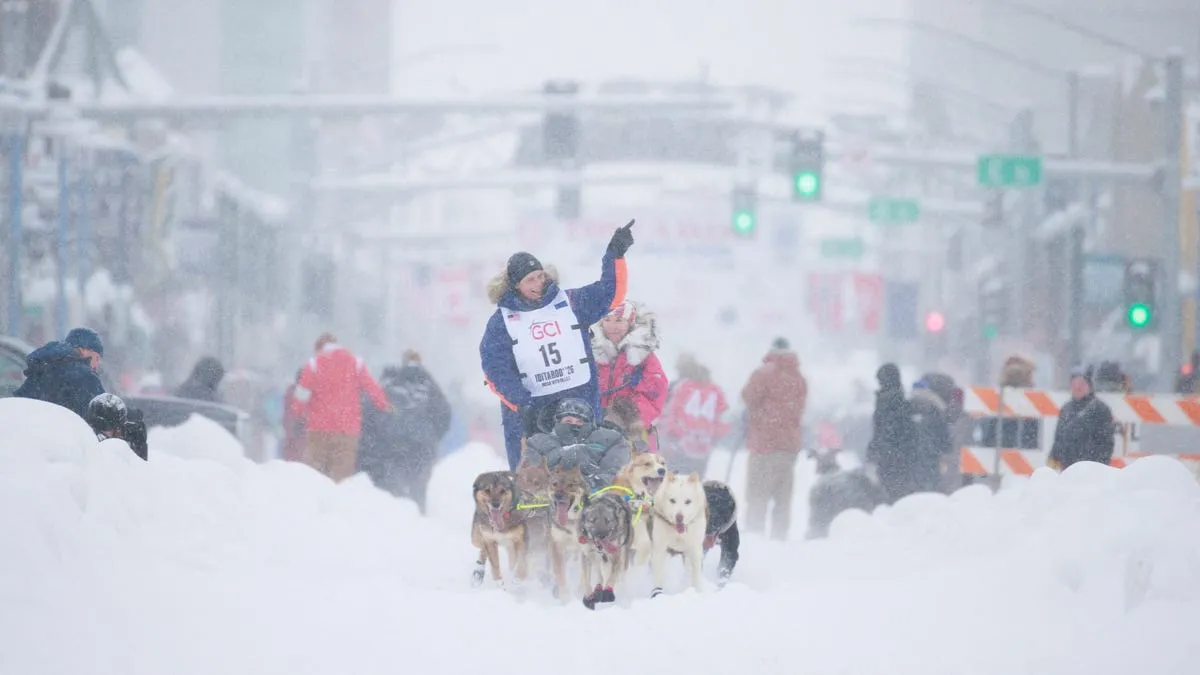iditarod 2026 — US news