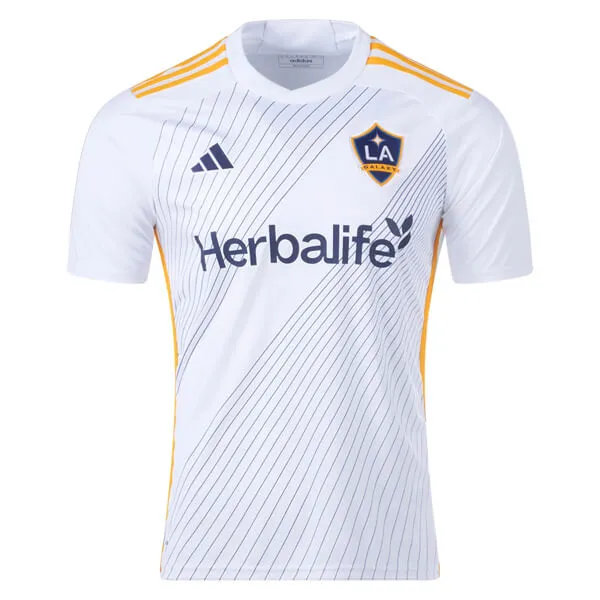 la galaxy — US news