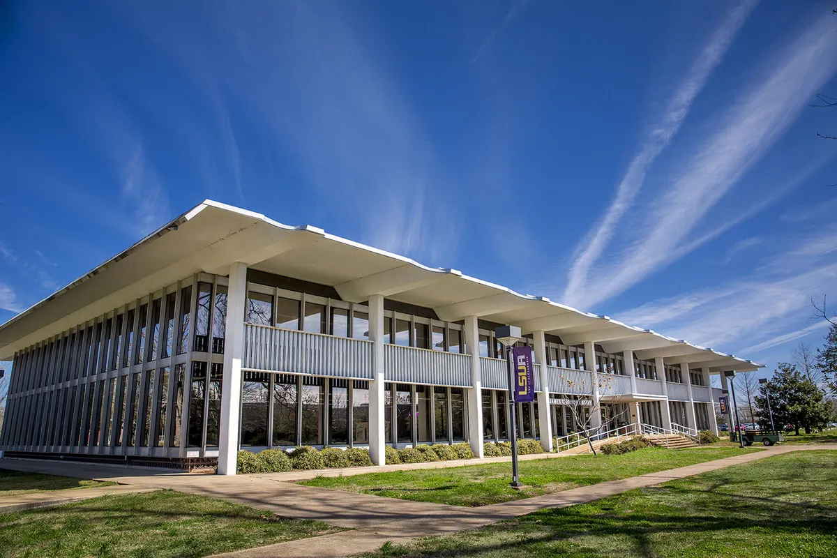 lsu — US news