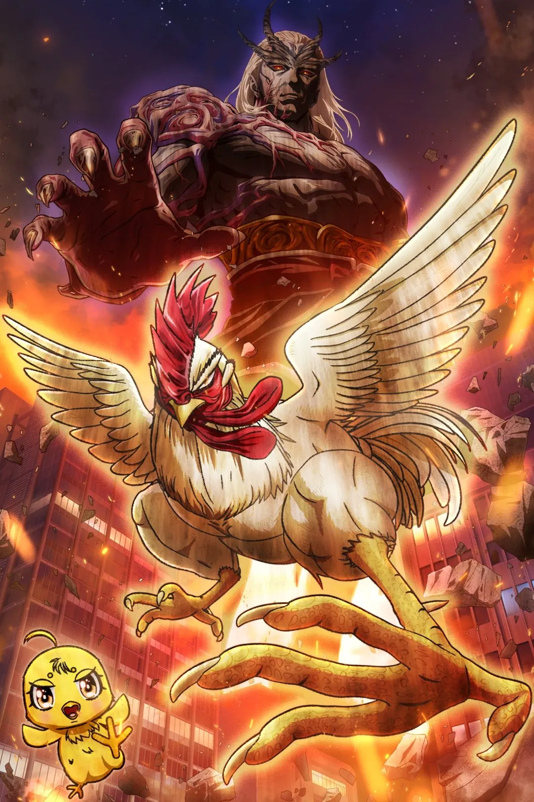 rooster fighter — US news