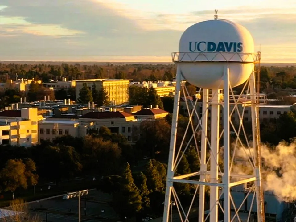 uc davis — US news