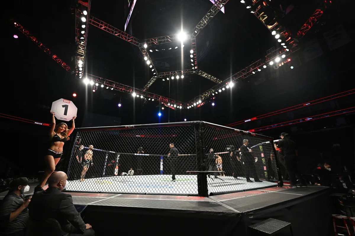 ufc today — US news