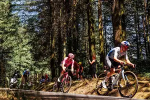 Tour de France: Pogacar calls for calendar changes amid heatwave, Van der Poel wins stage nine