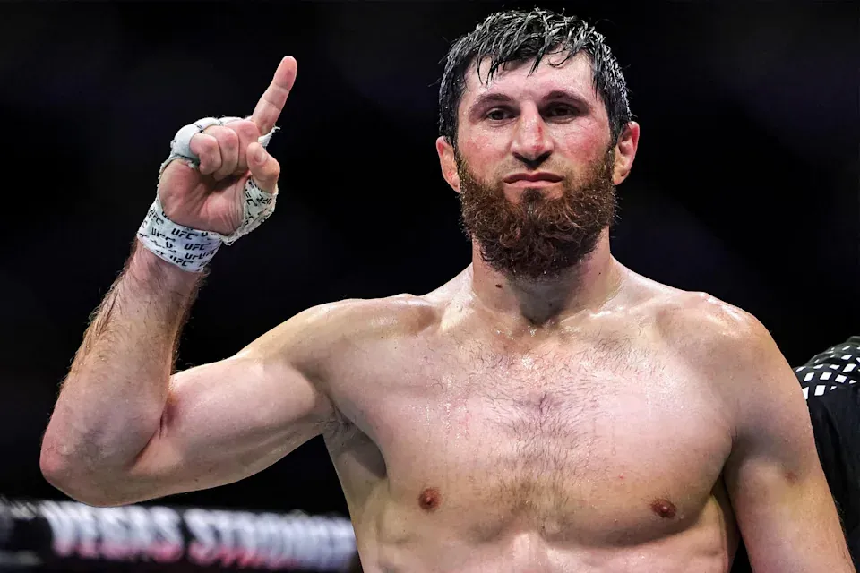 Magomed Ankalaev
