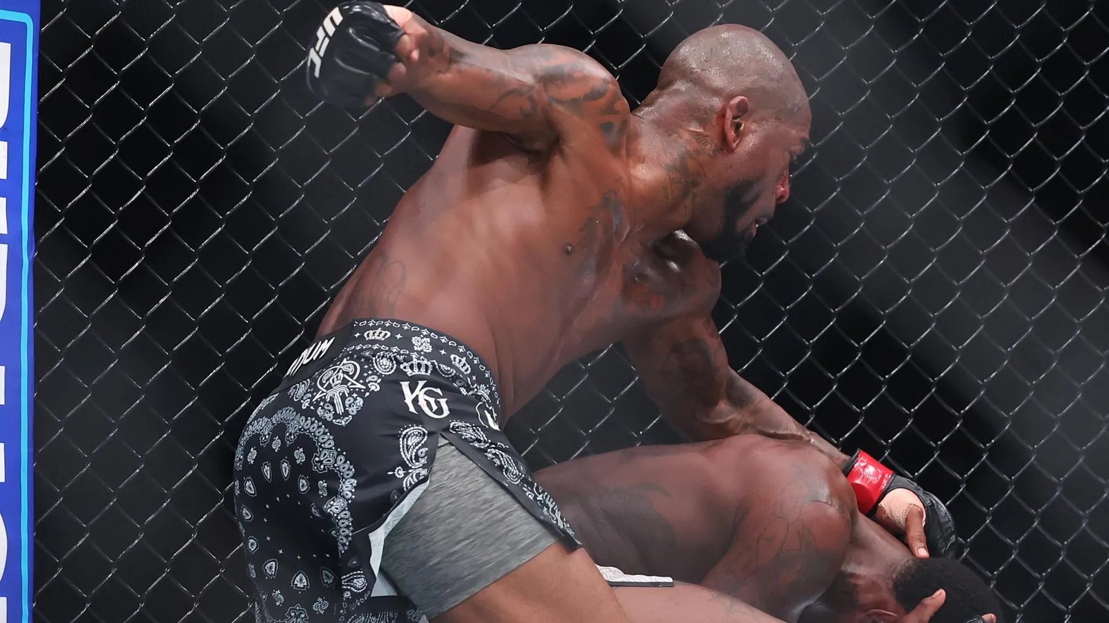 UFC 329: McGregor v Holloway 2