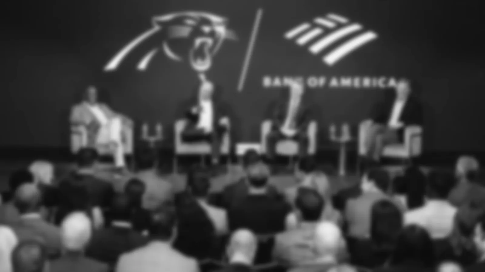 David Tepper Roger Goodell Fireside chat